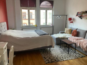 Rum med eget badrum och stort, delat kök,centralt i Malmö A room in an apartment, own bathroom and kitchen shared with a family in Malmö